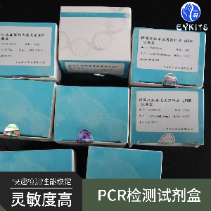 毛霉属通用PCR检测试剂盒