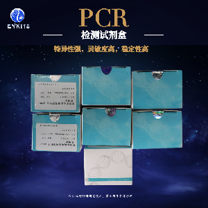 产碱普罗威登斯菌PCR检测试剂盒