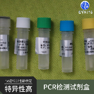 蜡样芽胞杆菌PCR检测试剂盒