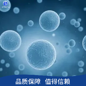 T-24/DDP人膀胱移行细胞癌耐顺铂细胞株