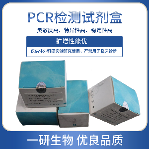 肺炎病毒PCR检测试剂盒