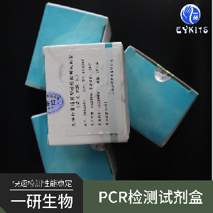 利什曼原虫通用PCR检测试剂盒