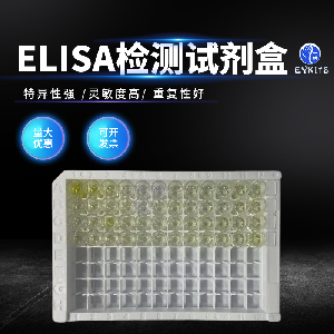 小鼠细胞间粘附分子1ELISA试剂盒