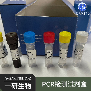 同牛疱疹病毒型牛巨细胞病毒PCR检测试剂盒