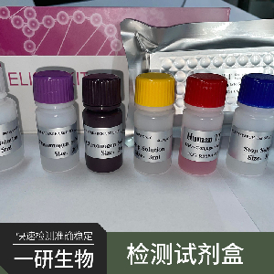 大鼠5-羟甲基胞嘧啶ELISA试剂盒
