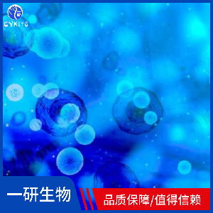 人急性单核细胞白血病单核细胞,AML-193