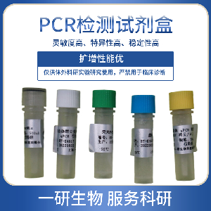 新科研ORF1ab核酸检测试剂盒（PCR-荧光探针法）