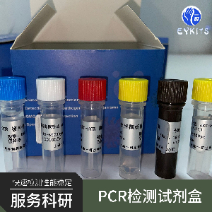 卡氏枝孢霉PCR检测试剂盒