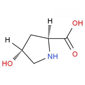 反式-4-羟基-L-脯氨酸 51-35-4 L-羟基脯氨酸