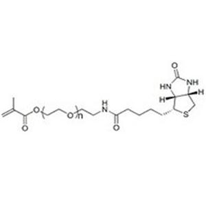 Methacrylate-PEG-Biotin，甲基丙烯酸酯聚乙二醇生物素