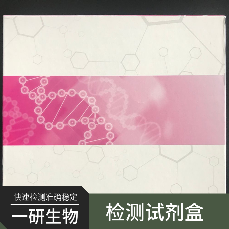 小鼠细胞色素P450 1B1ELISA试剂盒,Cytochrome P450 1B1