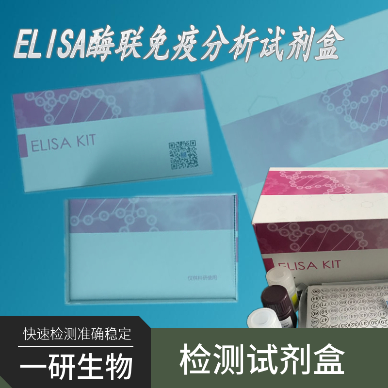 小鼠角蛋白生长因子受体ELISA试剂盒,KGFR