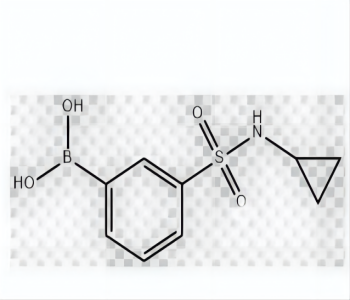 3-(N-Cyclopropylsulphamoyl)benzeneboronic acid