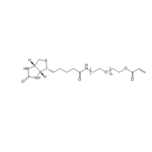 Biotin-PEG2000-AC 生物素-聚乙二醇-丙烯酸酯