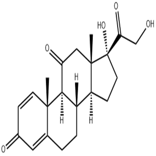 潑尼松,Prednisone