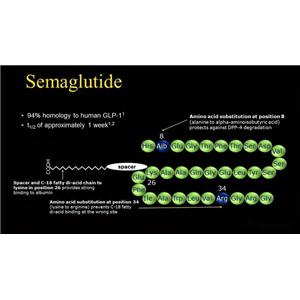 索玛鲁肽主链,Semaglutide main chain