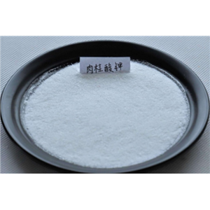 肉桂酸钾 16089-48-8 食品防腐剂