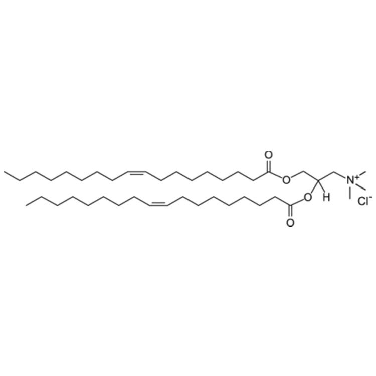 阳离子脂质体DOTAP，(2,3-二油氧基丙基)三甲基氯化铵,DOTAP,DOTAP chloride