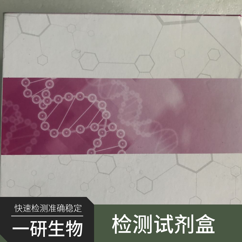 小鼠腺苷合酶ELISA试剂盒,Adenylosuccinate Synthase