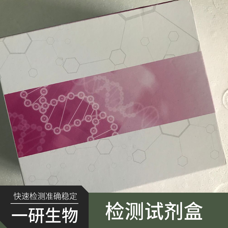 植物細(xì)胞壁降解酶ELISA試劑盒,cell wall degrading enzymes