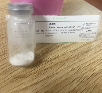 尿激酶,Urokinase from human kidney cells