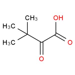 三甲基丙酮酸 815-17-8