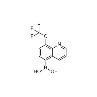 8-三氟甲氧基喹啉-5-硼酸,8-Trifluoromethoxyquinoline-5-boronic acid