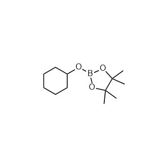 2-(環(huán)己氧基)-4,4,5,5-四甲基-1,3,2-二氧硼烷,2-(Cyclohexyloxy)-4,4,5,5-tetramethyl-1,3,2-dioxaborolane