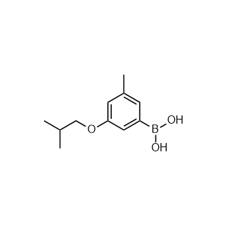 (3-異丁氧基-5-甲基苯基)硼酸,(3-Isobutoxy-5-methylphenyl)boronic acid