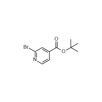 2-溴异烟酸叔丁酯,tert-Butyl 2-bromoisonicotinate