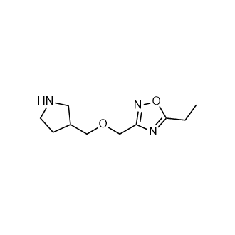 5-乙基-3-((吡咯烷-3-基甲氧基)甲基)-1,2,4-噁二唑,5-Ethyl-3-((pyrrolidin-3-ylmethoxy)methyl)-1,2,4-oxadiazole