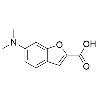 6-(二甲氨基)-1-苯并呋喃-2-羧酸,6-(Dimethylamino)-1-benzofuran-2-carboxylic acid
