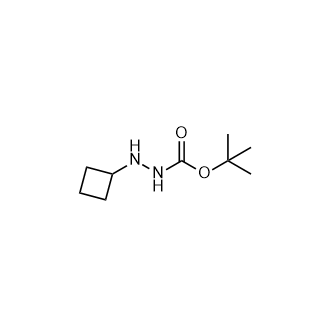 N'-环丁基(叔丁氧基)碳酰肼,N'-Cyclobutyl(tert-butoxy)carbohydrazide