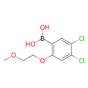 4,5-二氯-2-(2-甲氧基乙氧基)苯基硼酸