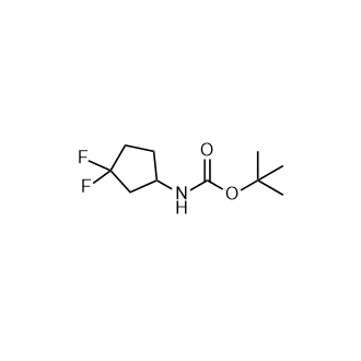 (3,3-二氟环戊基)氨基甲酸叔丁酯