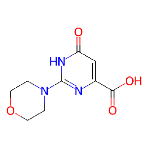 2-吗啉代-6-氧代-1,6-二氢嘧啶-4-羧酸,933686-76-1