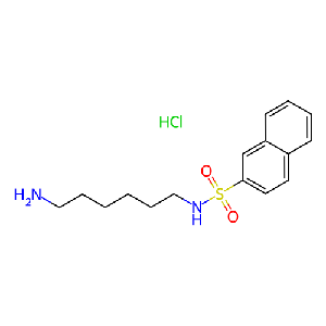 N-(6-氨基己基)萘-2-磺酰胺盐酸盐