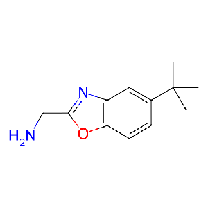 (5-(叔丁基)苯并[d]噁唑-2-基)甲胺