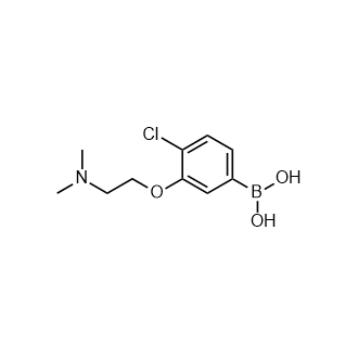4-氯-3-(2-二甲氨基乙氧基)苯基硼酸