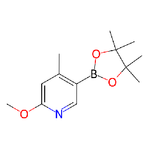2-甲氧基-4-甲基-5-(4,4,5,5-四甲基-1,3,2-二氧硼杂环戊烷-2-基)吡啶