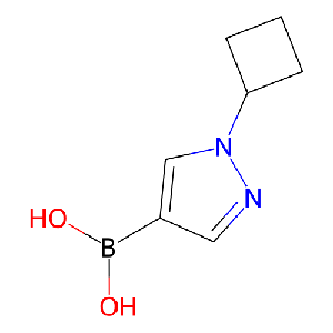 (1-环丁基吡唑-4-基)硼酸