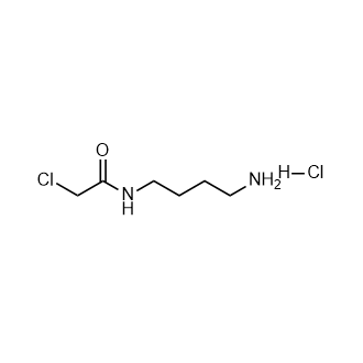 N(4-氨基丁基)-2-氯乙酰胺盐酸盐