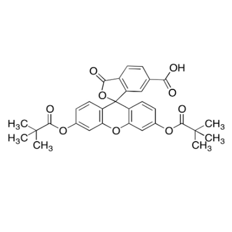 6-羧基荧光素 DIPIVALATE,6-carboxyfluorescein dipivalate