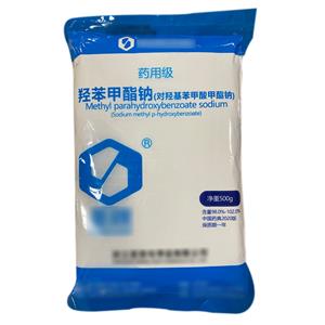 羟苯甲酯钠（药用辅料）中国药典2020版 有CDE备案