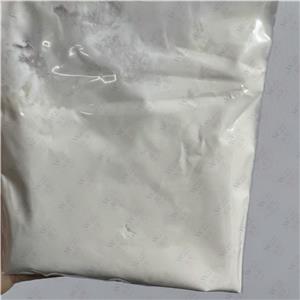 丙酸倍氯米松,Beclomethasone propionate