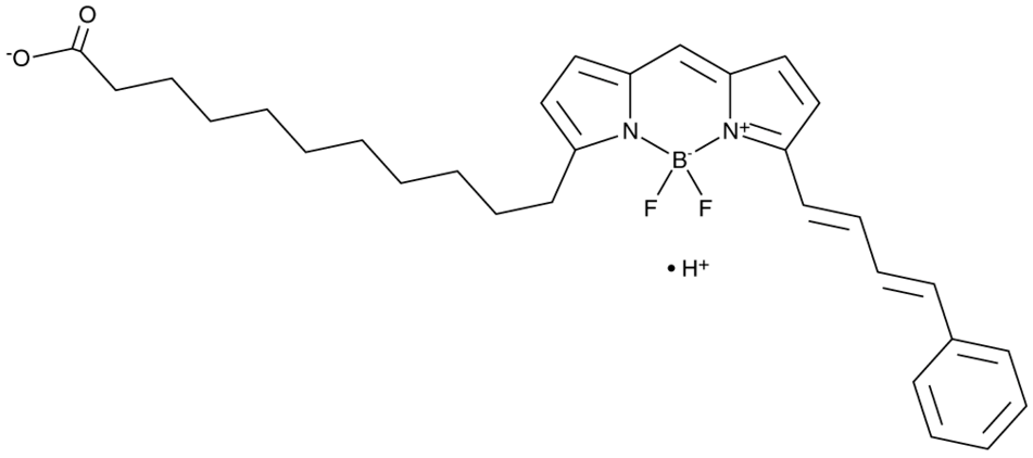 C11 BODIPY 581/591,C11 BODIPY 581/591