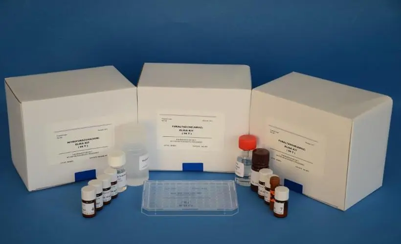 人纤维蛋白原γ(FGγ)Elisa试剂盒,Human FGγ(Fibrinogen Gamma chain) ELISA Kit
