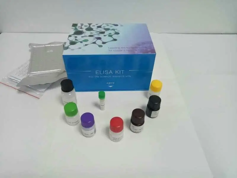 人血管紧张素原(AGT)Elisa试剂盒,Human AGT(Angiotensinogen) ELISA Kit