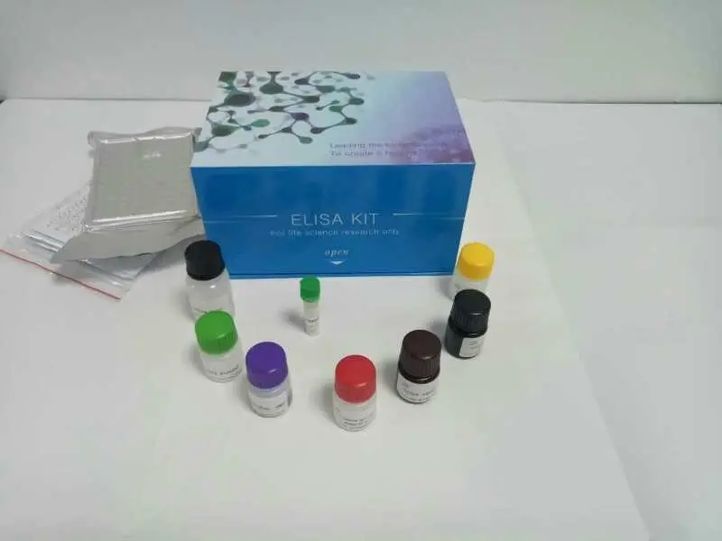 人白介素16（IL-16）Elisa试剂盒,Human IL-16(Interleukin 16) ELISA Kit