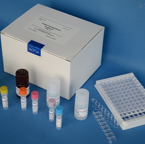 人白介素5（IL-5）Elisa試劑盒,Human IL-5(Interleukin 5) ELISA Kit